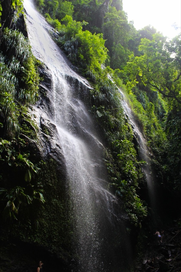 Cascade au milieu de la forêt tropicale, en Martinique.