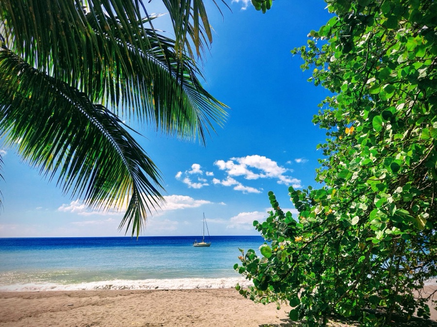 Plage du Carbet, palmiers et voilier sur la mer des Caraïbes.