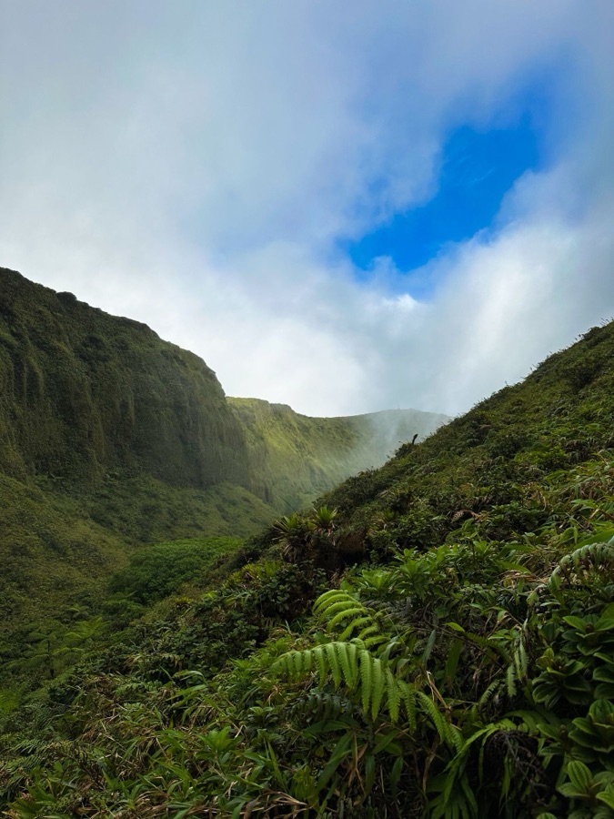 Vallée verdoyante dans la brume, en Martinique.