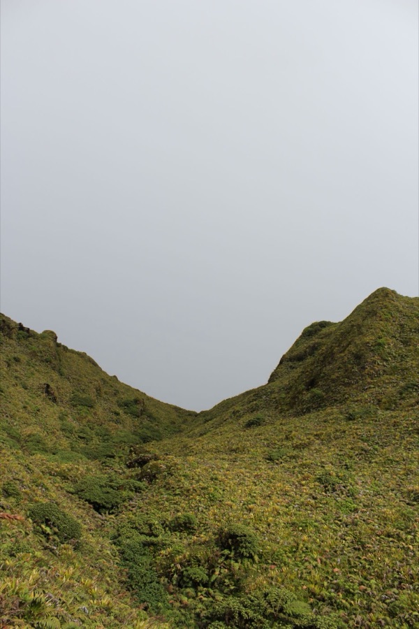Montagnes couvertes de forêt sous un ciel nuageux, en Martinique.